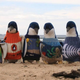 Illustration for article titled These Penguins In Sweaters Are Fake